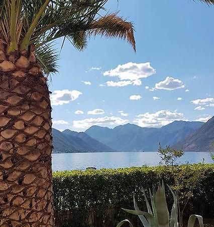 Apartment Maniva Kotor Exteriér fotografie