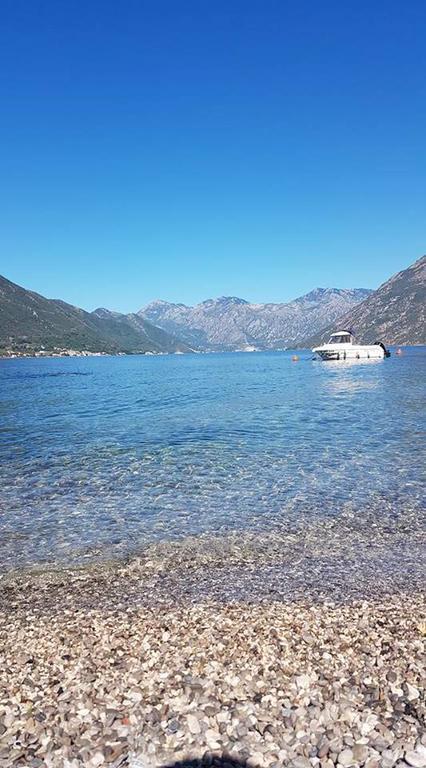 Apartment Maniva Kotor Exteriér fotografie