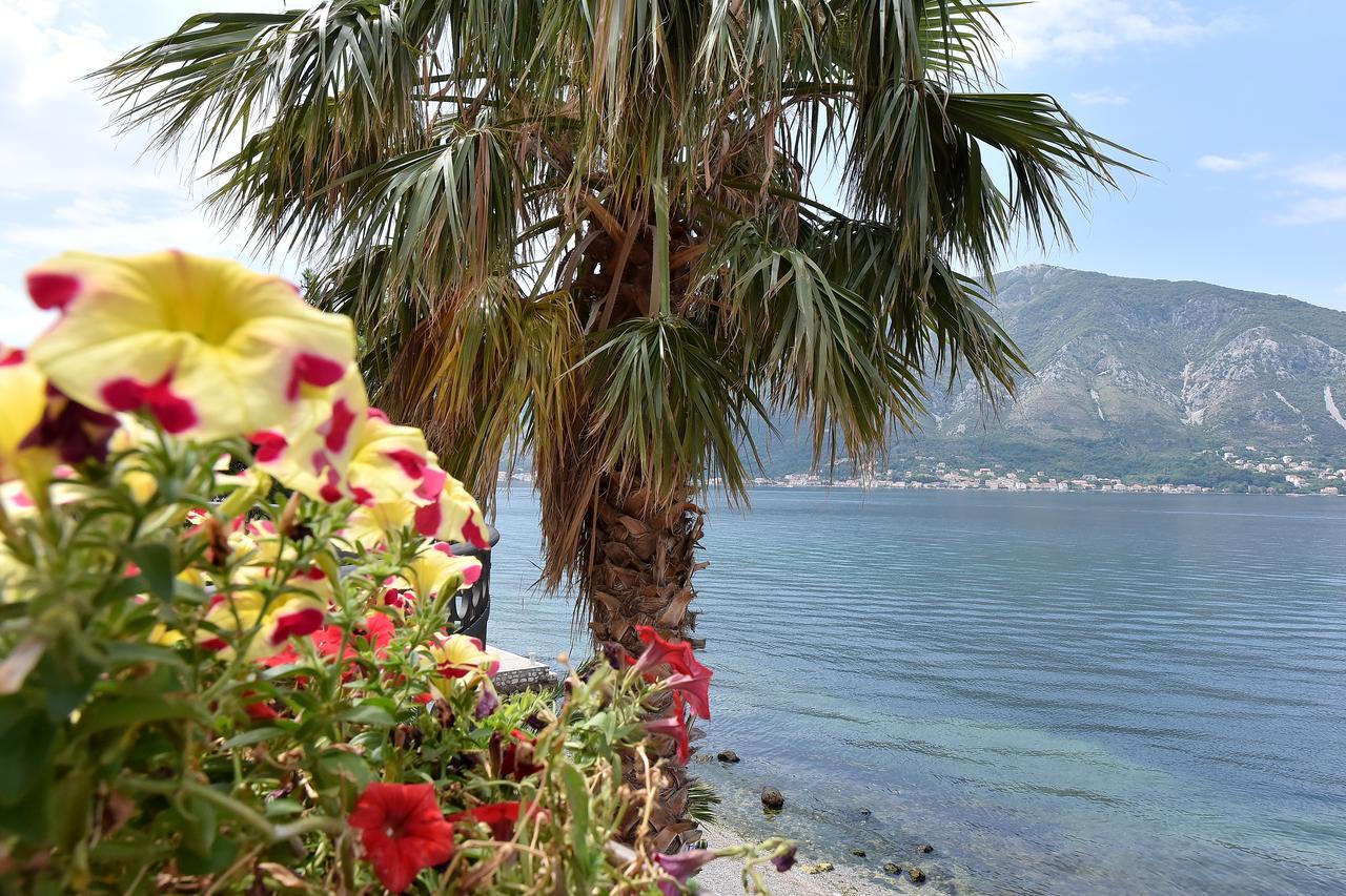 Apartment Maniva Kotor Exteriér fotografie