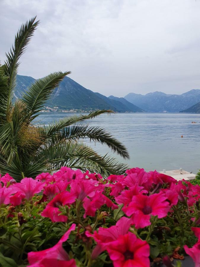 Apartment Maniva Kotor Pokoj fotografie